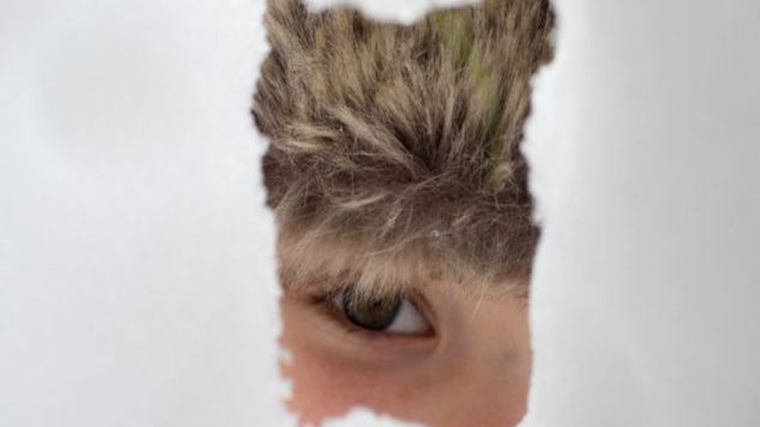 És mi a helyzet a gyerekekkel